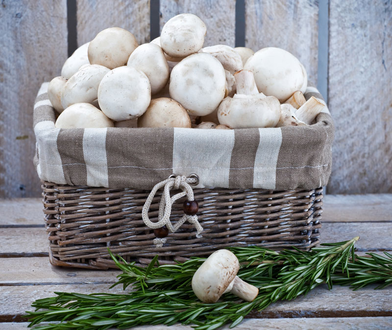 عکس استوک قارچ داخل سبد